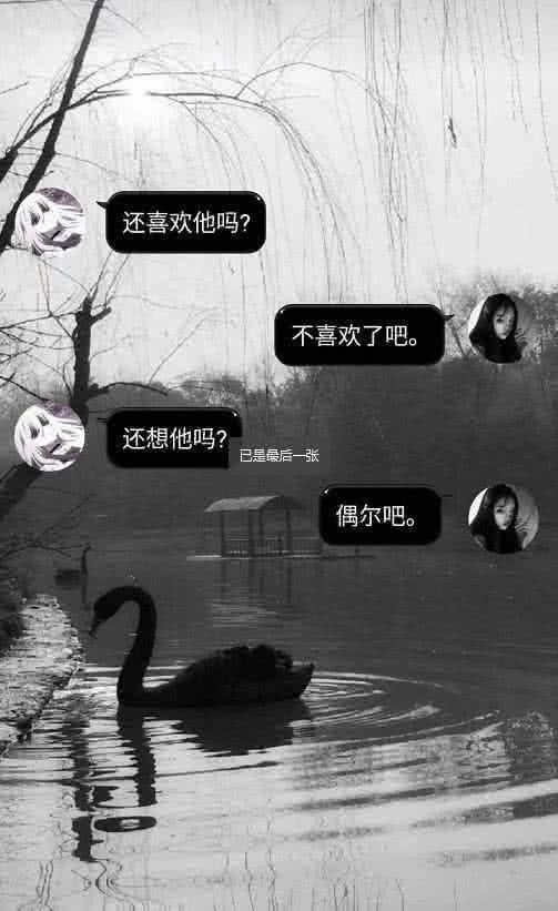 这是一张黑白色的拼接壁纸,很多人喜欢这种黑白色的风格,喜欢的小伙伴