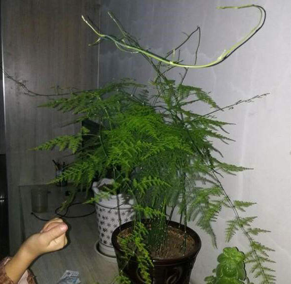 1000