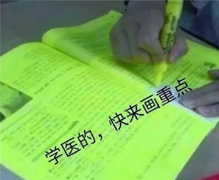 表情包:学医的,快来画重点!你懂吗?