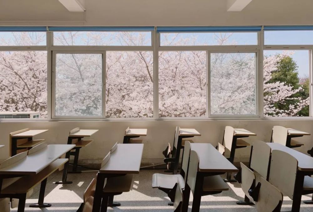 樱花教室爆红!苏农,就是这个春天最美的学校!