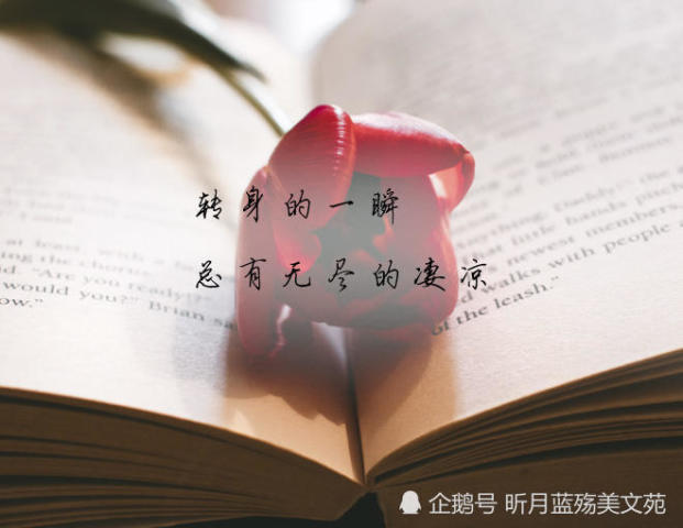 眼眸简谱_儿歌简谱(3)