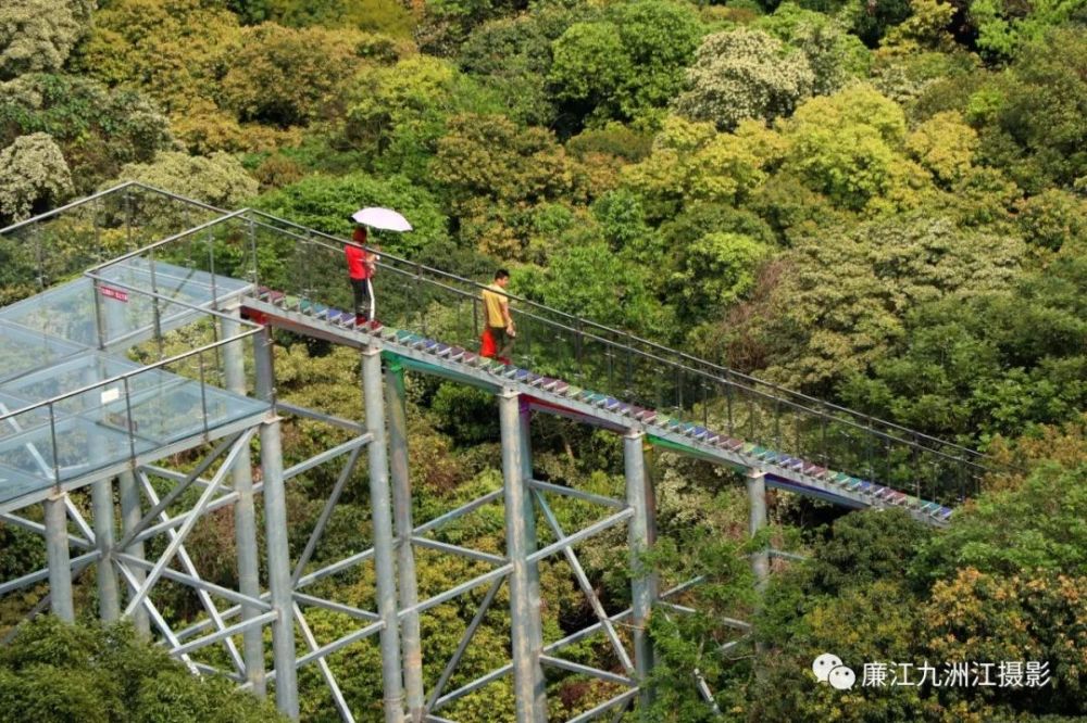 惠州市免疫规划工作会议暨预防接种规范管理优质化培训