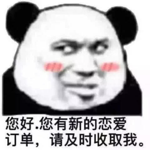 搞笑·撩汉表情包:你骂我,你完了,你两年找不到对象了