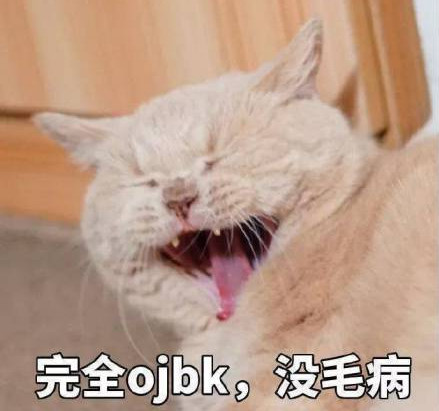 高清无水印萌宠专用表情包:完全ojbk,没毛病!