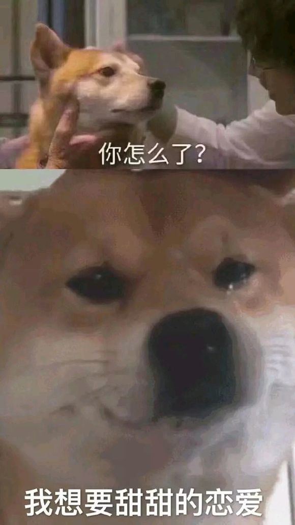 搞笑可爱的表情吧,我这就给您拜个年.风好大我好冷