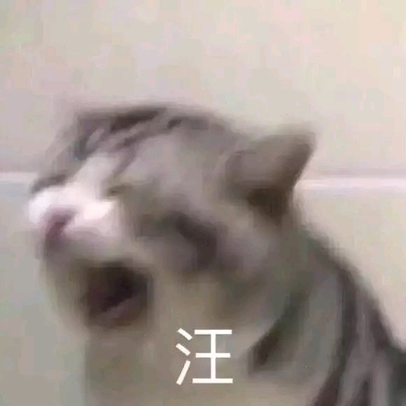 搞笑可爱的表情包,我又开始自闭了,你呢