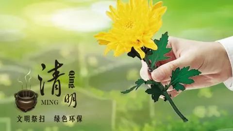 六盘水市清明节文明祭扫倡议书