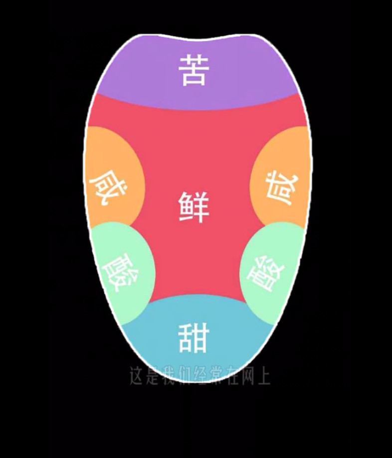 味觉地图?这个教科书级谣言你被了么?