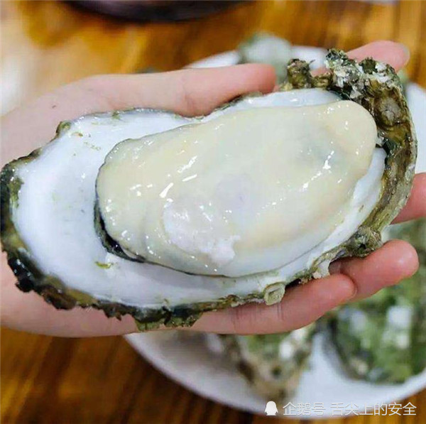 为什么说生蚝是男人的加油站,女人的美容院?看完你就明白了