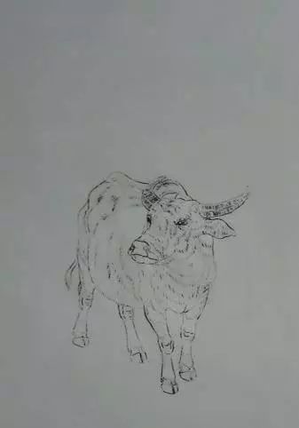 书画联盟丨《松阴乌犍》工笔画法步骤图