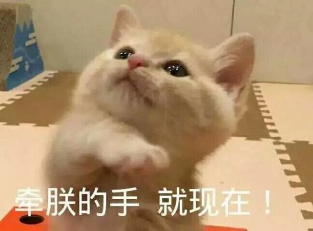 表情包:撒娇必备表情包,你猜猜我是不是想要口红了?