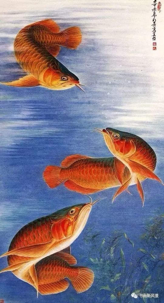 工笔画鱼,这几位是高手!