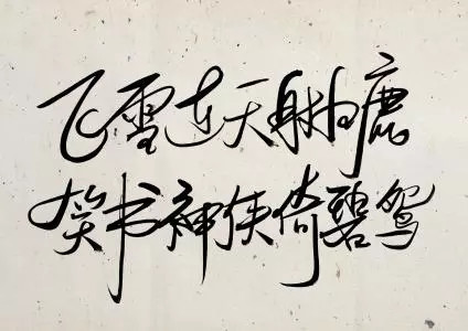 人口千万的现代总统类小说_人口普查