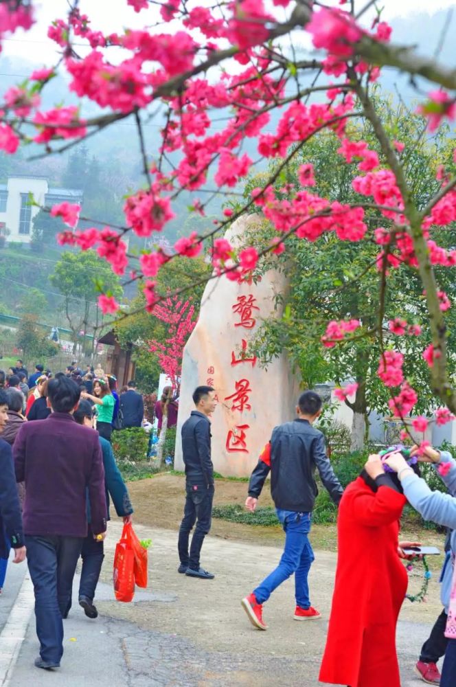 宁乡市文化旅游节暨第九届灰汤桃花节今天开幕