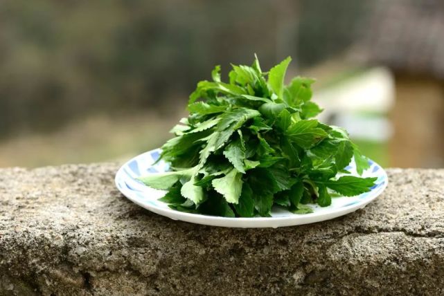 春季著名野菜大全