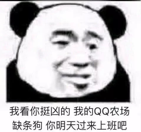 表情包:我看你挺凶的,我qq农场正好缺条狗,你明天来