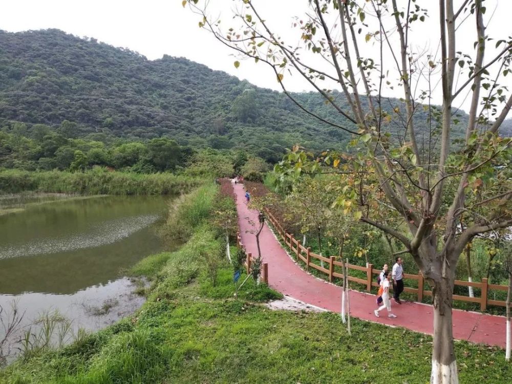 公园附近: 越秀·东坡:打造山居生活典范 项目地址:广州市南沙区进港