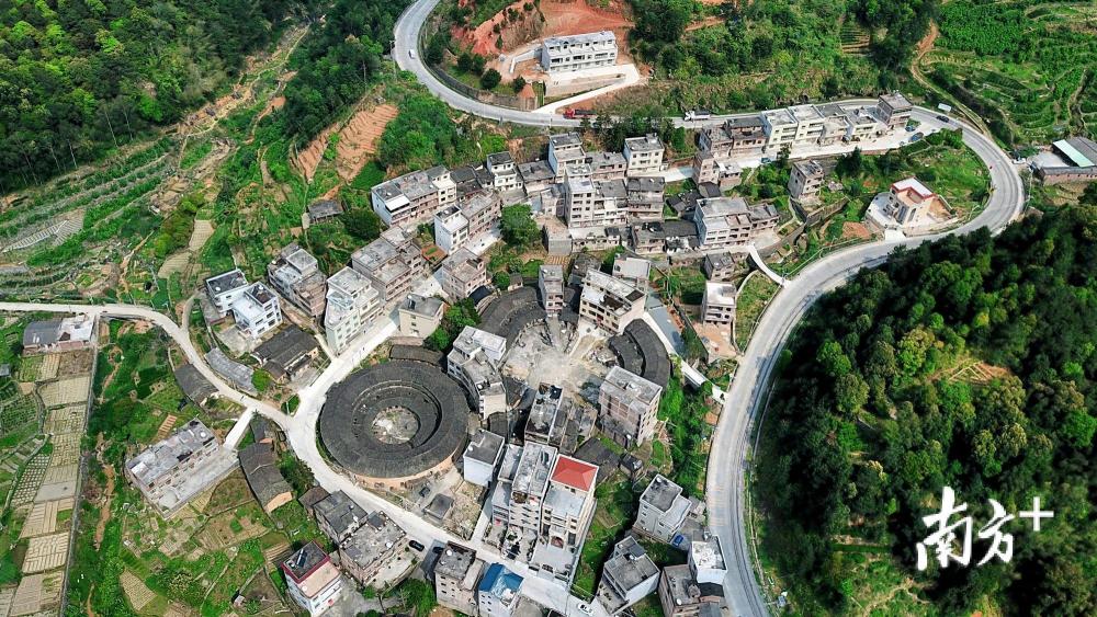 红色村·潮州记饶平上善村:"红色 绿色" 双色产业助跑振兴路