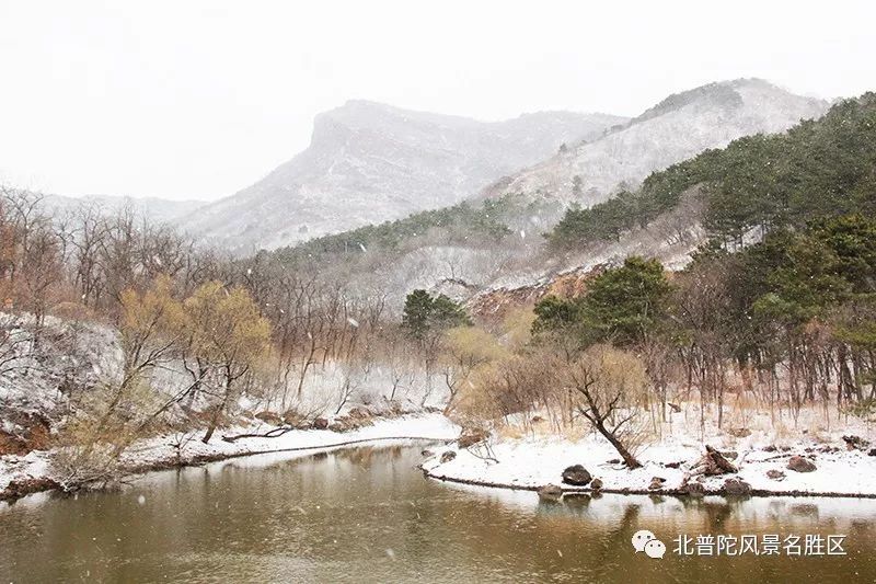 北普陀山初春迎春雪,这里的雪景太美了