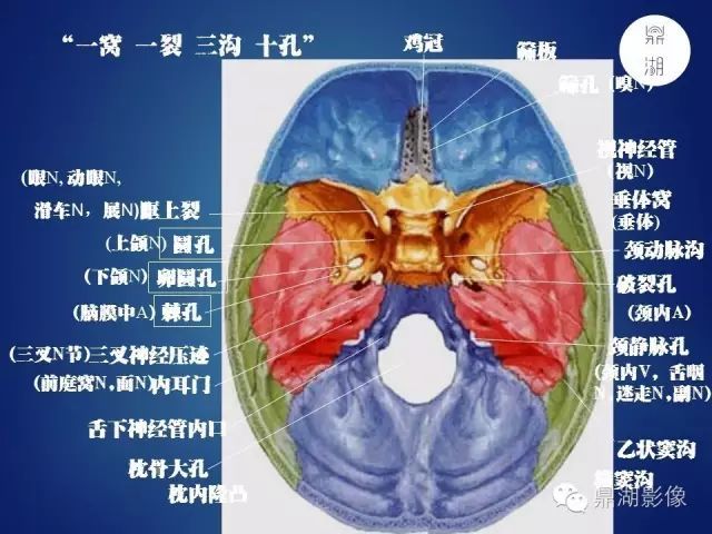 wow,最全神经系统解剖图来了