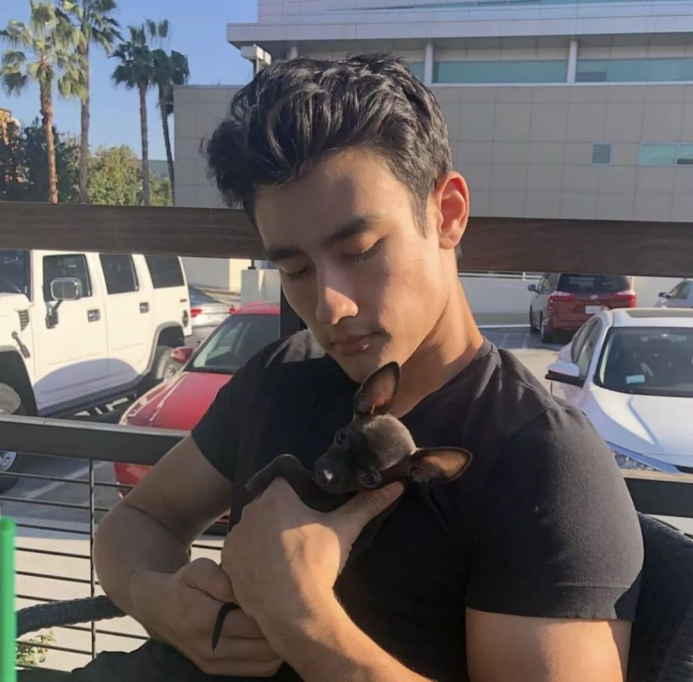 ——alex landi