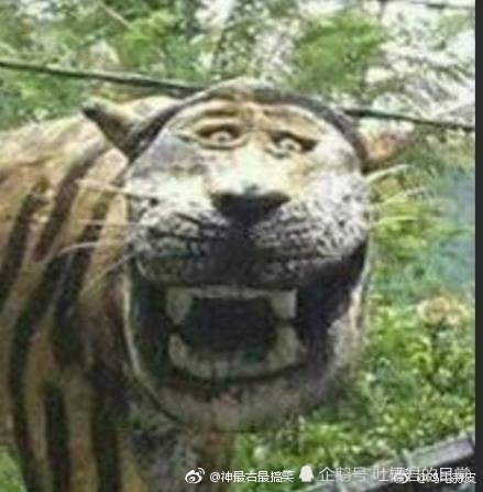 640