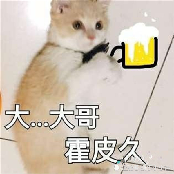 两性聊天·小猫咪·挑逗表情包:你不爱我了吗?死鬼