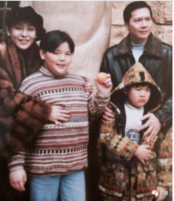 除了娶郭碧婷的向佐,向华强夫妇还有个坐牢的