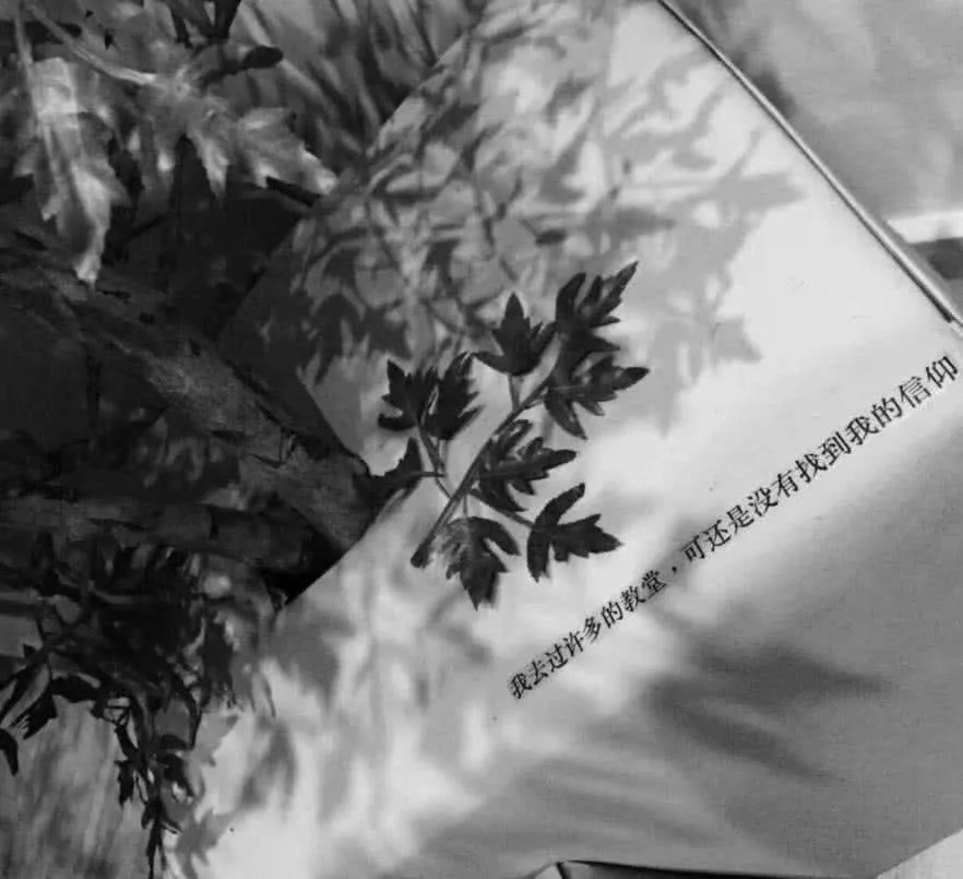 抖音最火·青春·背景图:故事很长,长话短说,我喜欢你