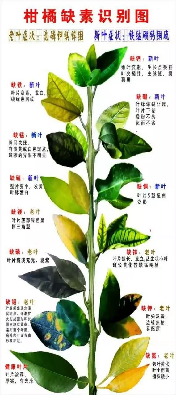 而且,合理施肥能改良土壤,为植物创造良好生活环境.