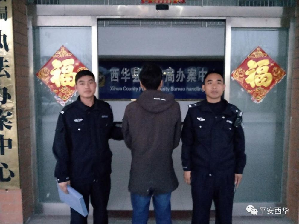 李大庄人口_人口普查