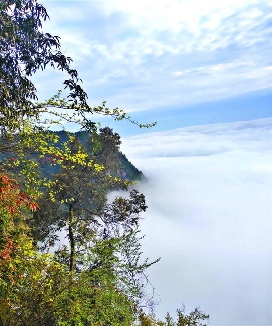 玉屏山景区,位于眉山市洪雅县境内,是"全国森林康养试点建设单位,全国