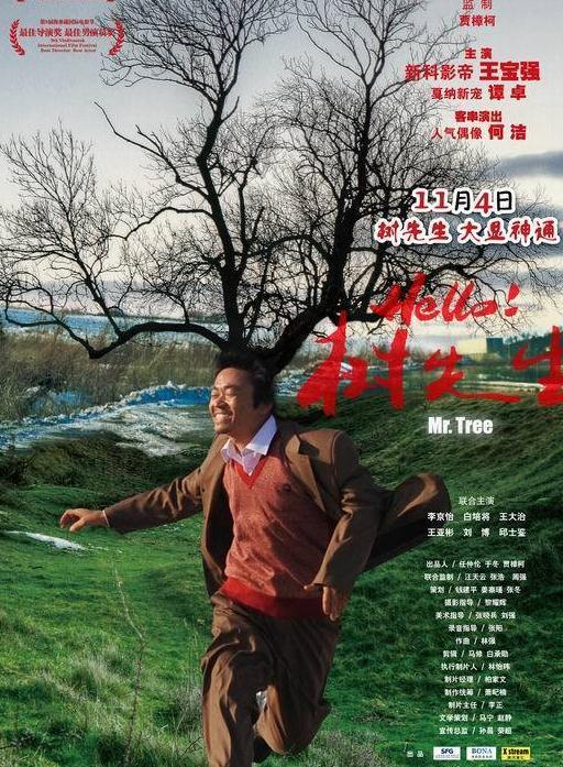 忻钰坤,心迷宫,暴裂无声,豆瓣,鬼子来了