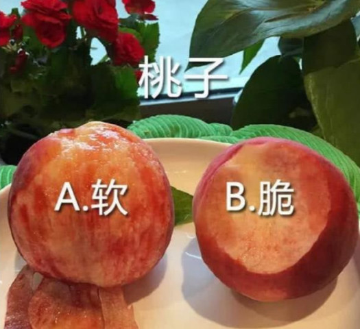 640