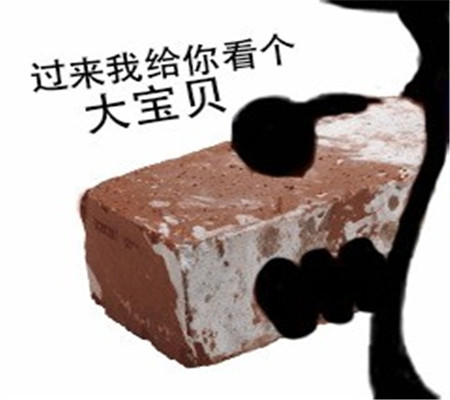 表情包:过来给你看个大宝贝!这砖头像不像放大版五花肉?