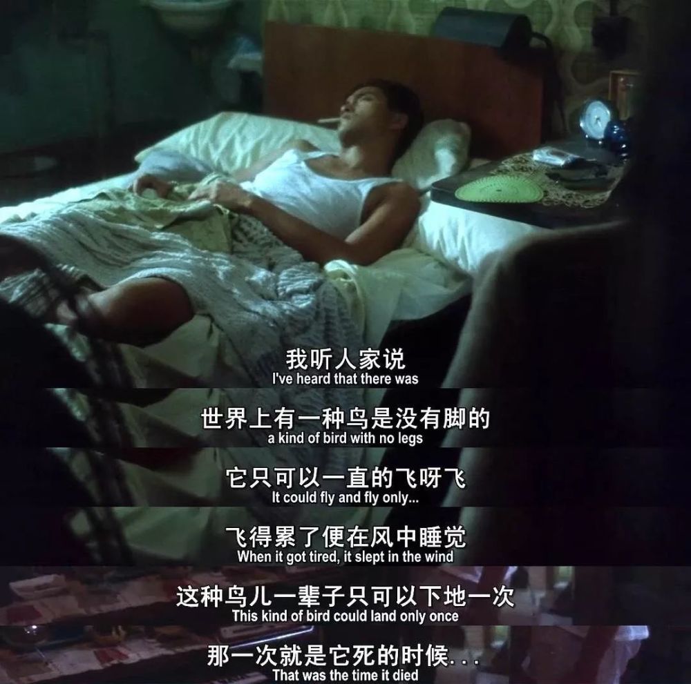 网易评选最经典华语台词,第一名是《阿飞正传》里他说的那句无脚鸟.