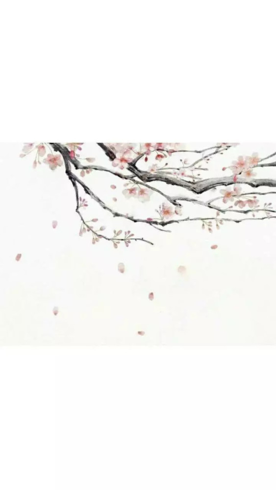 ins·古风·套图:眼泪问花花不语,乱红飞过千秋去