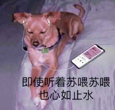 日常·斗图·表情包:野心不大,你和天下!