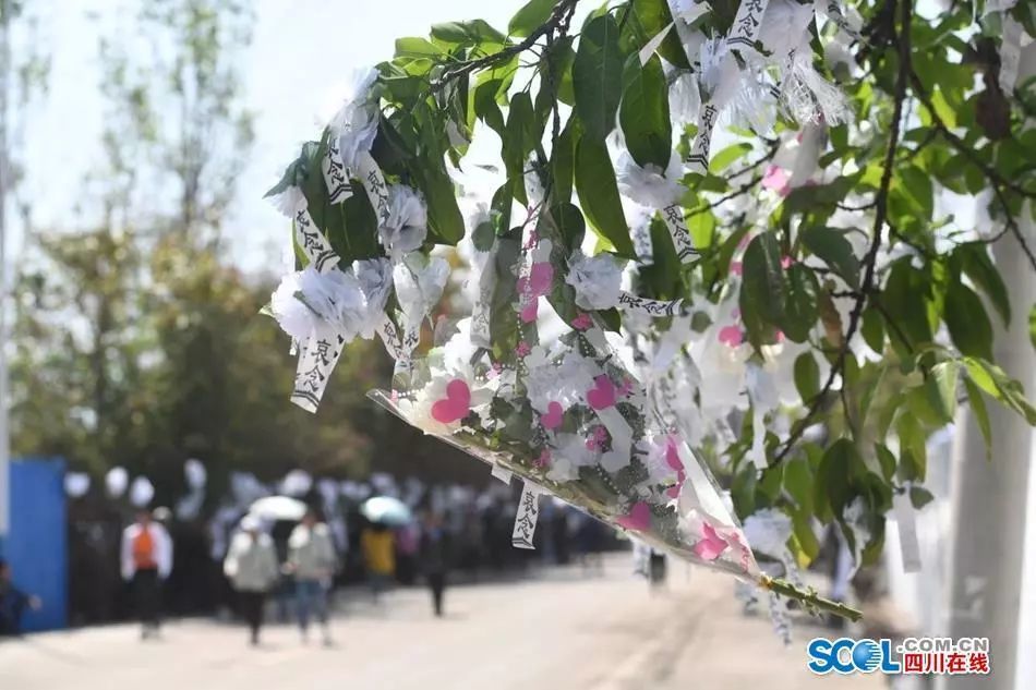 记住他们!凉山木里县森林火灾牺牲人员名单公