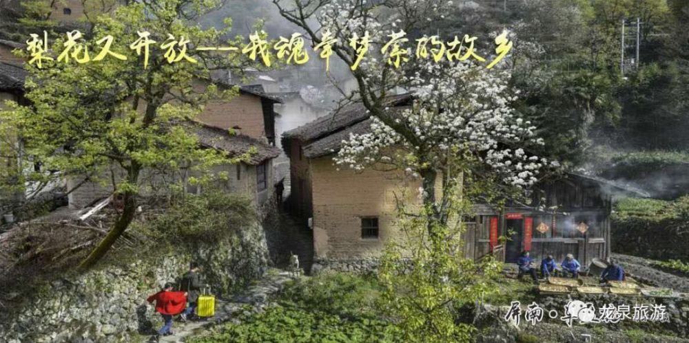 古代私藏人口_古代人口南迁示意图(3)