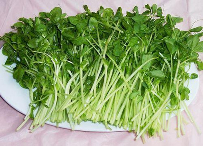 春吃芽秋吃果 吃一顿这菜 等于10顿白菜 芽比果还脆嫩 看点快报