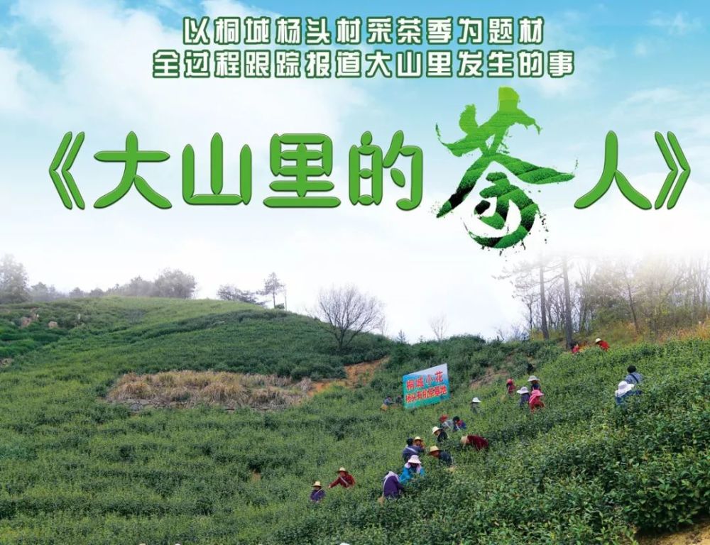 喜报 今天这里的桐城小花火了 看点快报