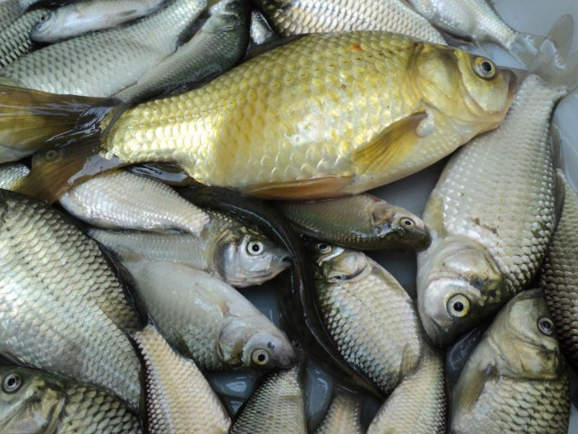 640