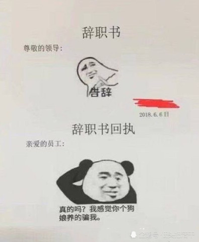 最近"辞职"表情包火了,没有最奇葩只有更奇葩,秀儿看到都想用