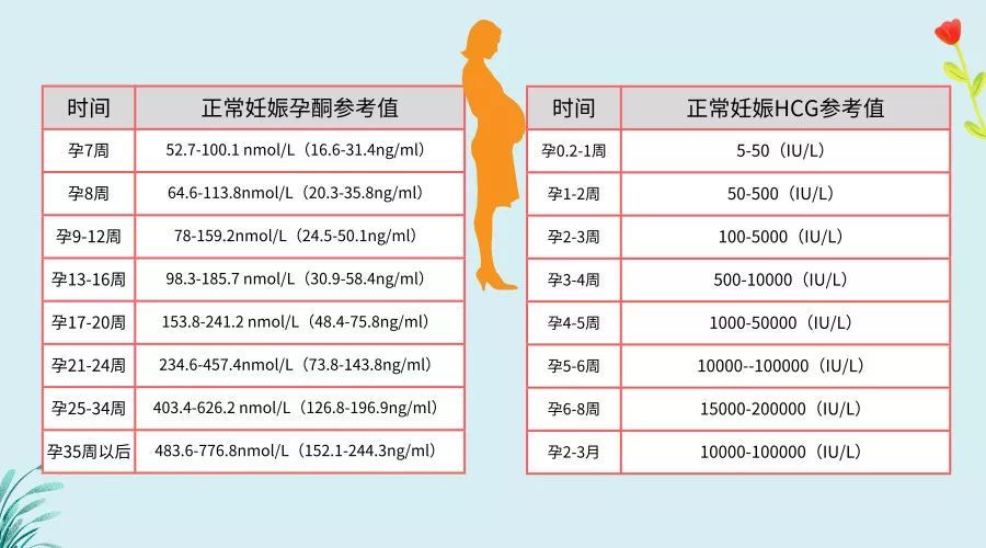 正常妊娠早期血β-hcg快速增长,倍增时间为1.