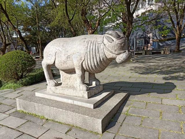 营山姓氏人口_营山凉面(2)