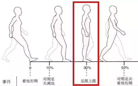 40岁的年纪18岁的身材，蔡依林才是真正的姐圈顶流，金晨都得往后站！