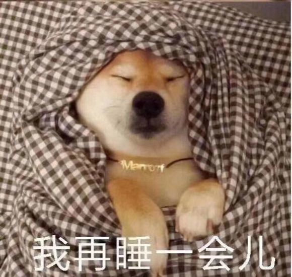 搞笑萌萌的表情包,我在睡一会儿