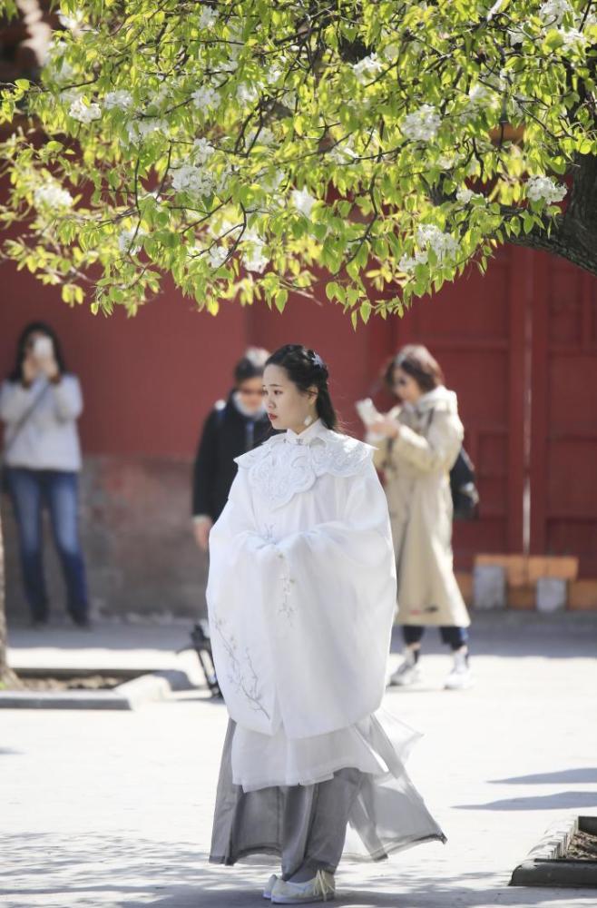 故宫兴起汉服,越来越多的汉服小姐姐到故宫游览,网友:点赞!