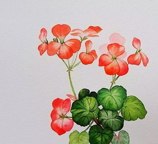 扣人心什么的成语_成语故事简笔画(3)